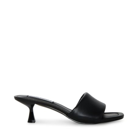 Black Steve Madden Syrah Women's Mules | PH 5146JIY